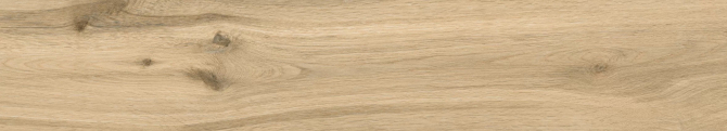 КГ 1161W Wildwood Natural 1200x200 (5/1,2/50,4) (вывод): Фото 1